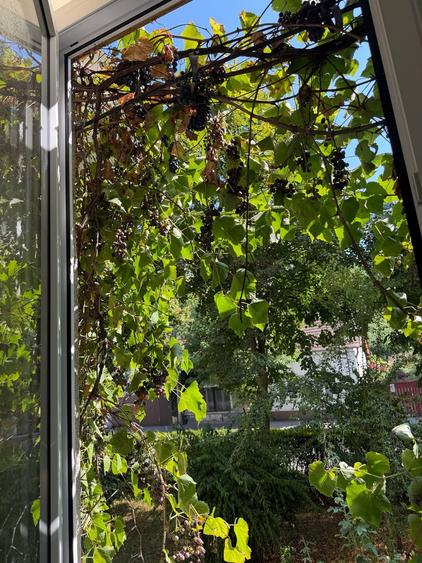 Apartament cu 3 camere decomandat, mobilat în Plopilor