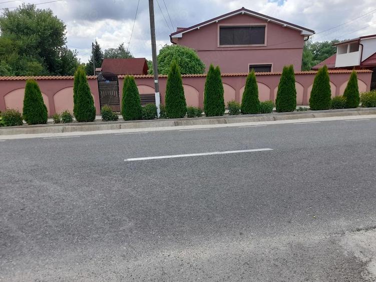 Casa de vanzare in Com. Scrioastea, Jud. Teleorman - 9