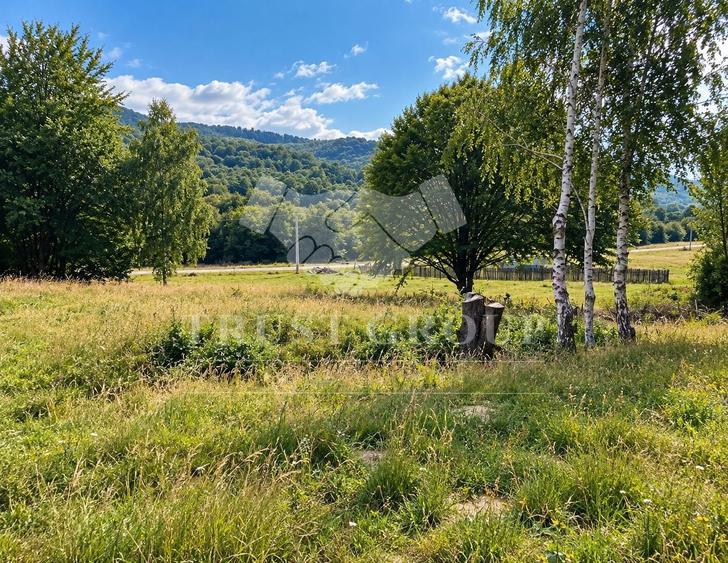 Teren Construcții intravilan de 1300 mp, în Cheia