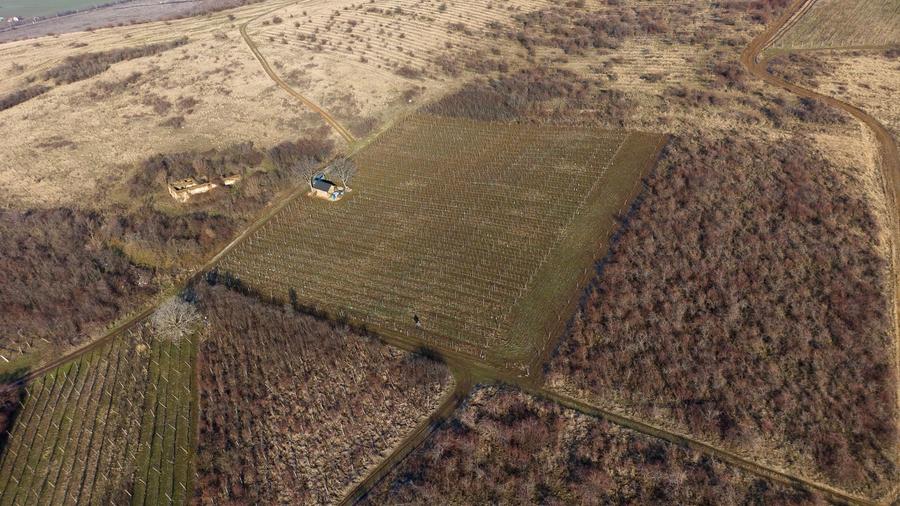 Teren agricol extravilan de 6800 mp, în Covăsinț
