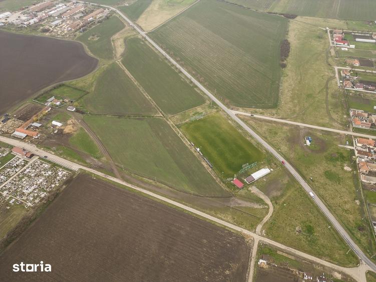 Teren de 76000 mp, în Sântana