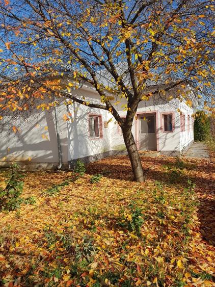Casă cu Teren 32 Mp în Central