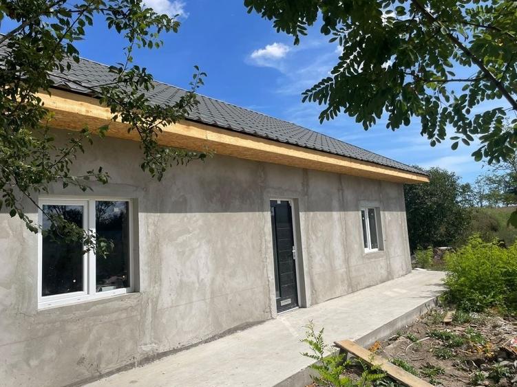 Casă cu 2 camere în Mereni