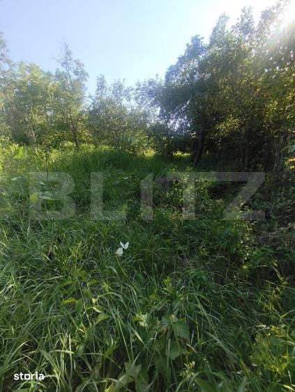 Teren intravilan, 700 mp, zona Lunca Muresului - 3
