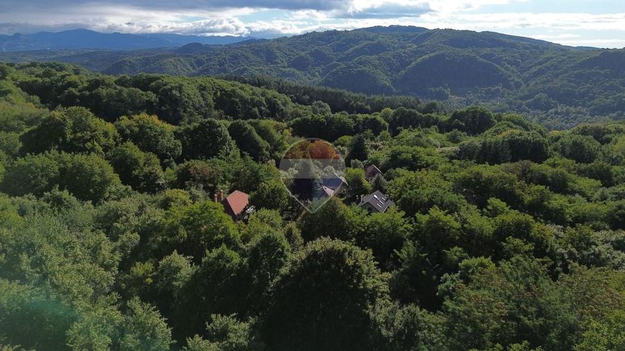 Casă individuală cu 5 camere cu Teren 1599 Mp în Vest