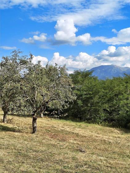Teren de 2500 mp, în Colonia Tălmaciu