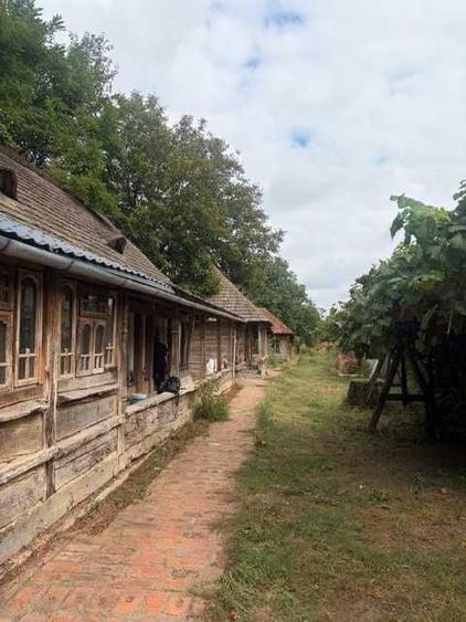 Casă cu 3 camere cu Teren 3000 Mp în Ciorogârla