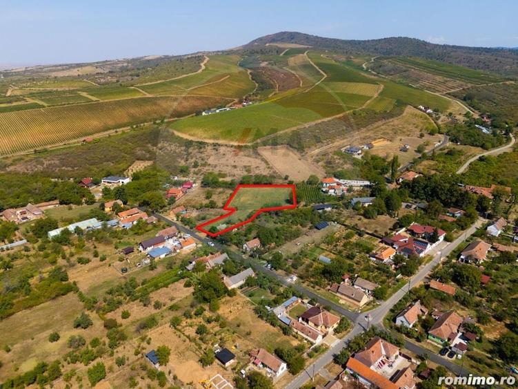 Teren de 4184 mp, în Miniș
