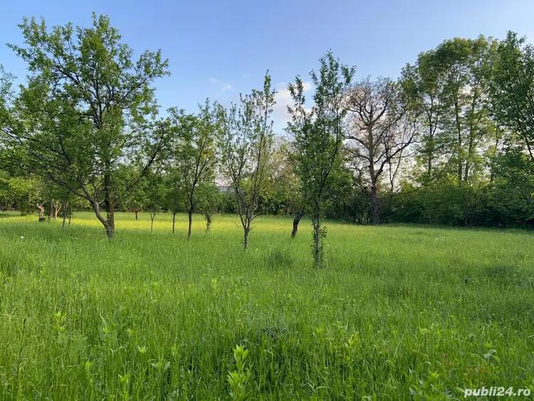 Teren de 1140 mp, în Brebu