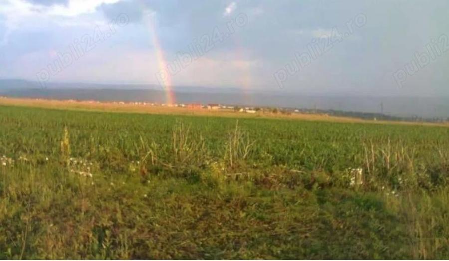 Teren în Valea Lupului