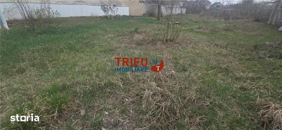 Teren de 1700 mp, în Tolstoi