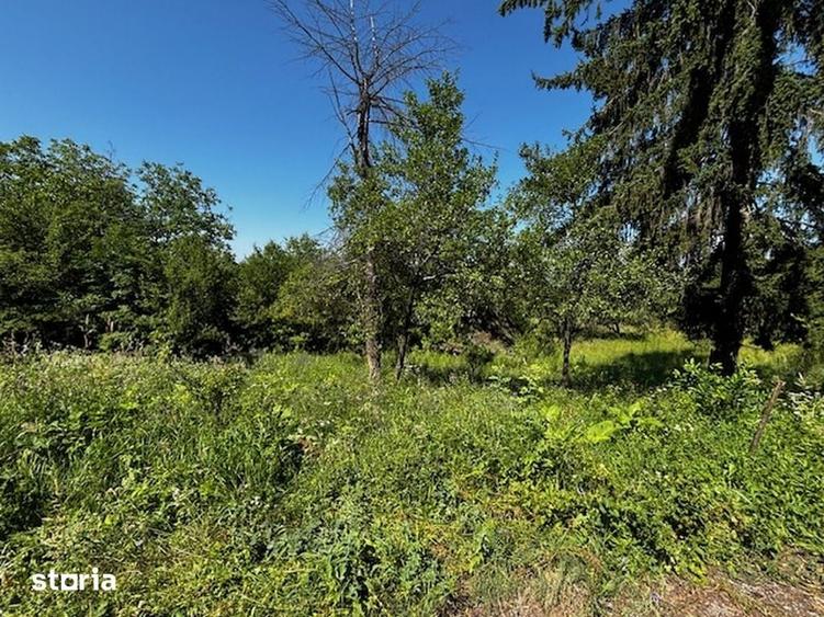 Teren de 3100 mp, în Dăești