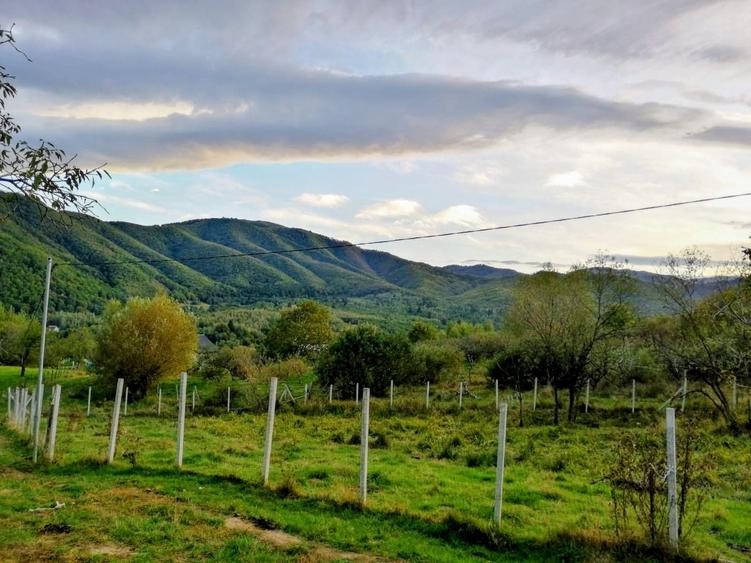 URGENT - Teren intravilan 916 mp in Cisnadioara 79.996,00 EUR cu plata in rate - 5
