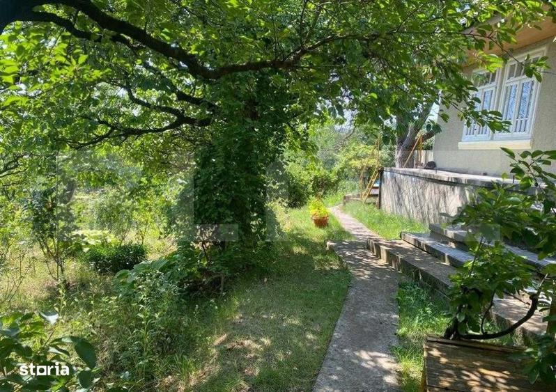 Casă cu 2 camere cu Teren 9500 Mp în Sacoșu Mare