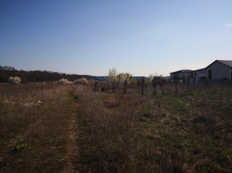 Teren Construcții intravilan de 1000 mp, în Sud