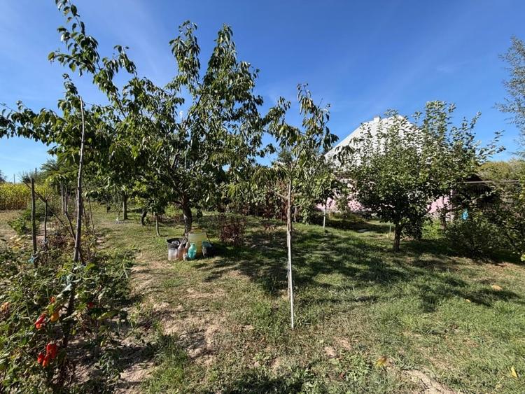 Casă individuală cu 2 camere cu Teren 7370 Mp în Bilca