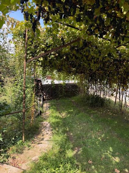 Casă cu 3 camere în Gârleni