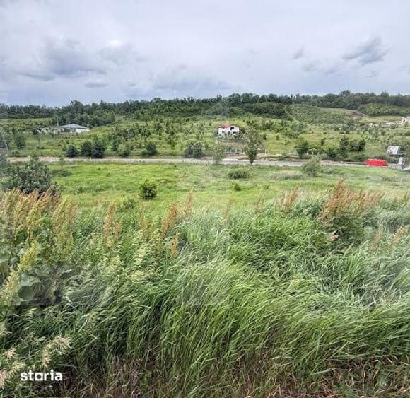 Teren de 1250 mp, în Central