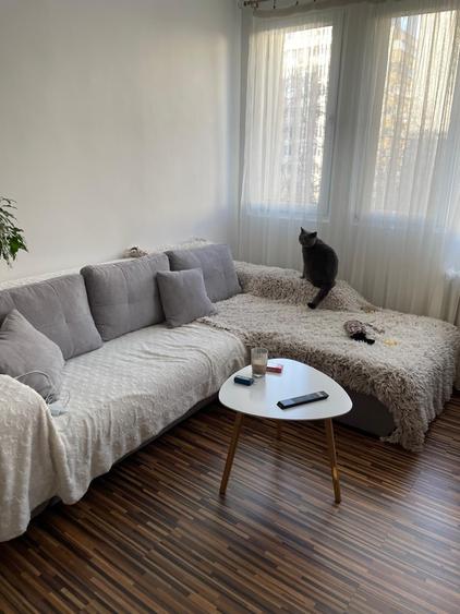 Apartament cu 2 camere decomandat, mobilat în Bucur Obor