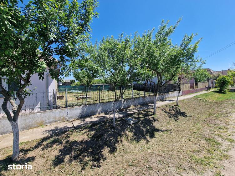 Casă cu 6 camere cu Teren 4780 Mp în Homorog
