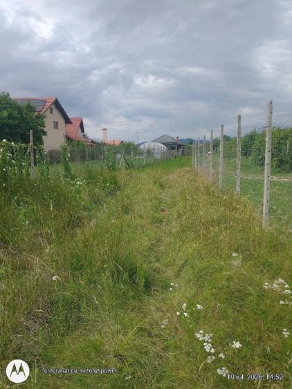 Teren de 844 mp, în Lăpuș