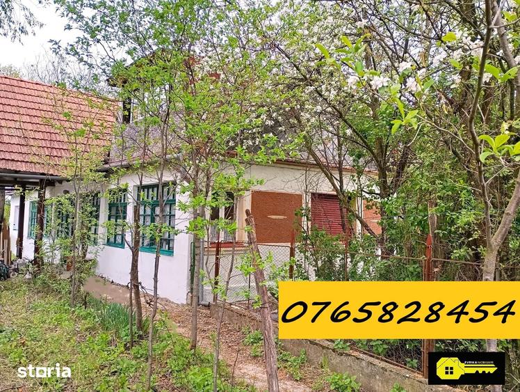 Casă cu 3 camere cu Teren 5060 Mp în Paleu