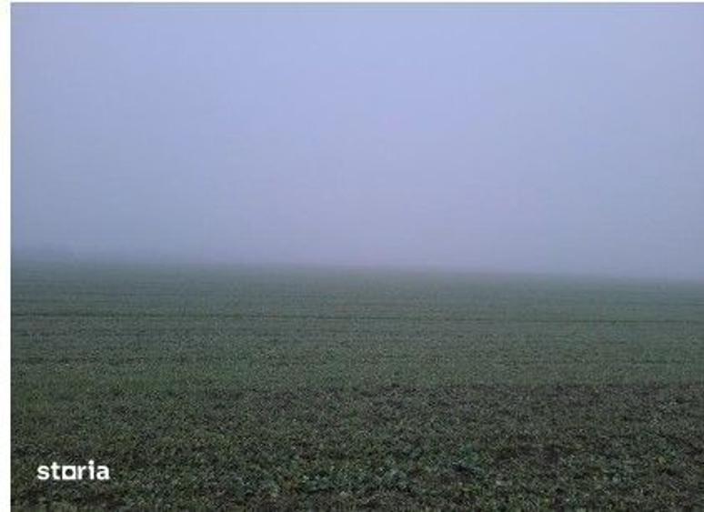 Teren de 4040 mp, în Troianul