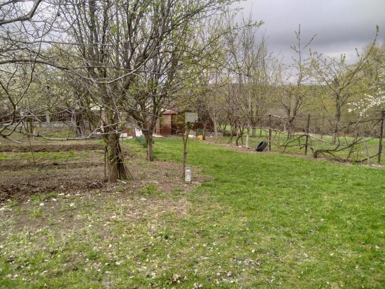 Spațiu comercial, în Sălicea
