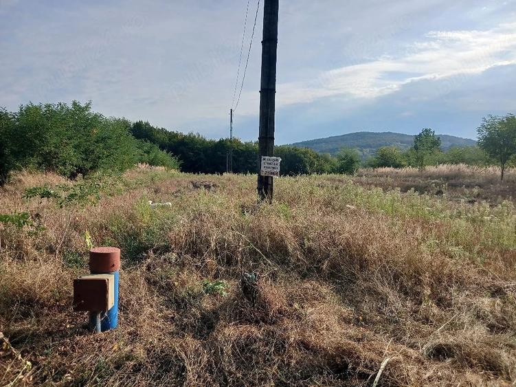 Teren de 6000 mp, în Budești