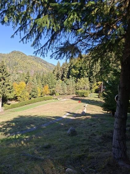 Teren intravilan de 2150 mp, în Lunca Bradului