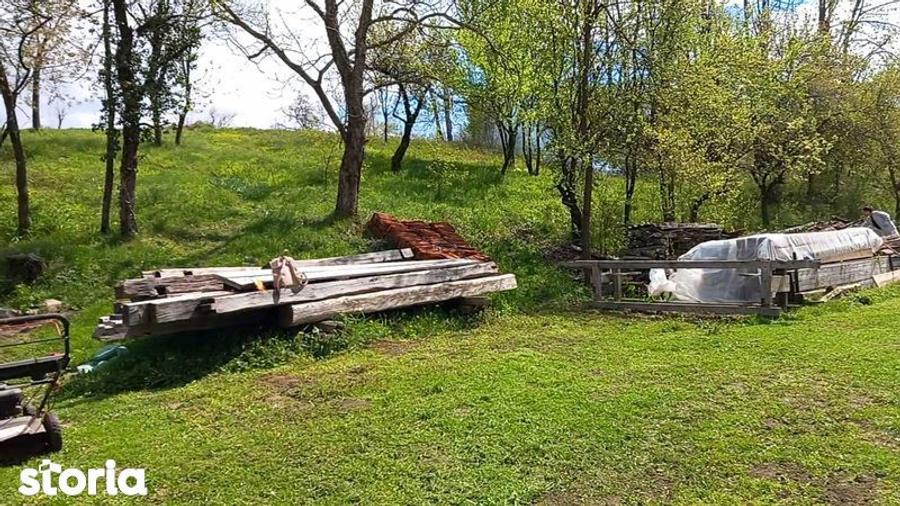 Teren de 5754 mp, în Ohaba Lungă
