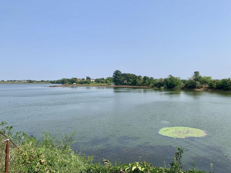 Teren agricol intravilan de 45000 mp, în Crevedia