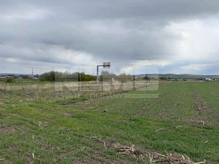 Teren agricol extravilan de 5063 mp, în Horodnic de Sus