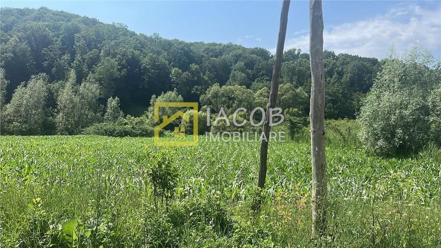 Teren Construcții intravilan de 3772 mp, în Podiș