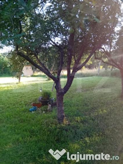 Teren + cabana pe piloi, 661 mp, zona Almasu Sec - 11