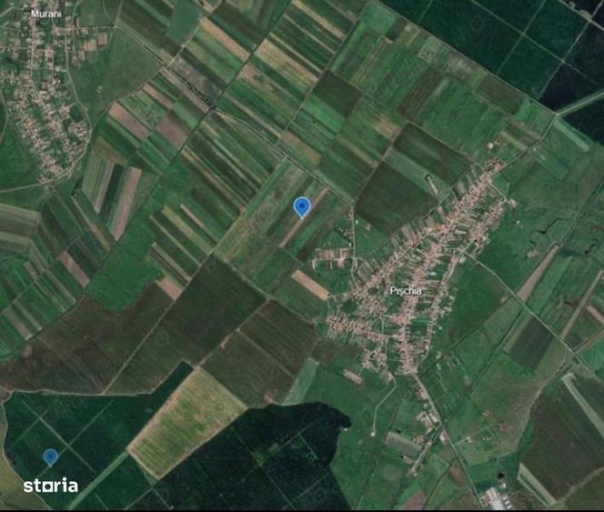 Teren de 28500 mp, în Pișchia