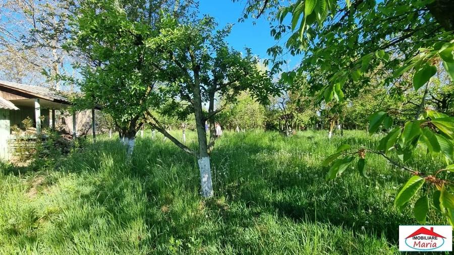 Teren în Bercu Roșu