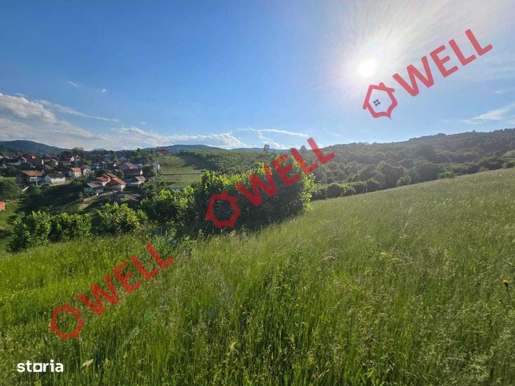 Spațiu comercial, în Acriș