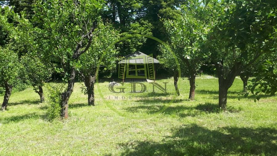 Teren agricol extravilan de 4288 mp, în Gușterița