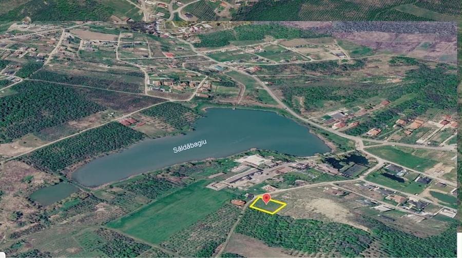 Teren de 1000 mp, în Săldăbagiu de Munte