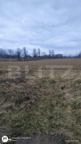 Casă cu 4 camere cu Teren 5450 Mp în Central