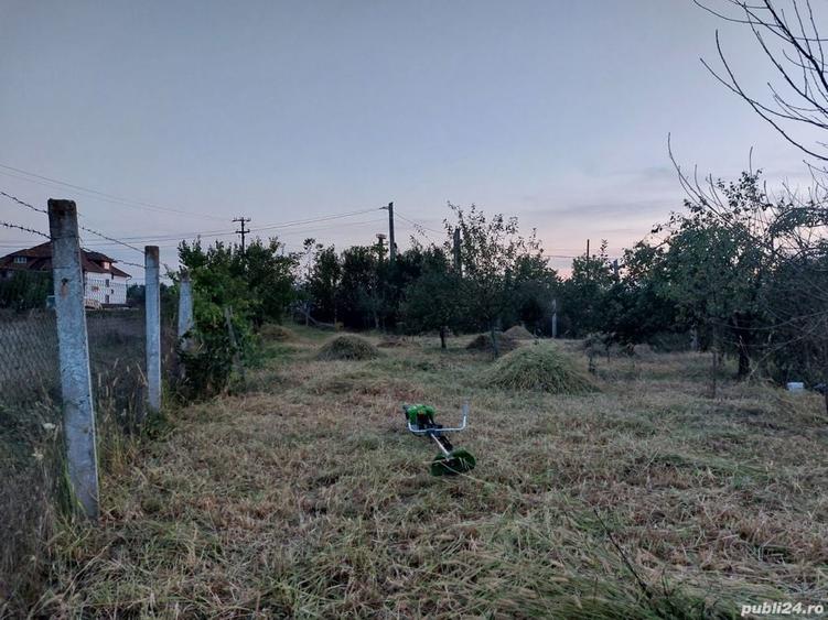 Teren în Pocola