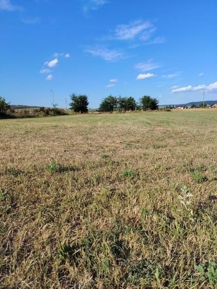 Spațiu industrial, de 7,000 mp, în Burdujeni
