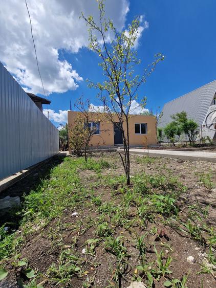 Casă cu 3 camere în Alexandru cel Bun