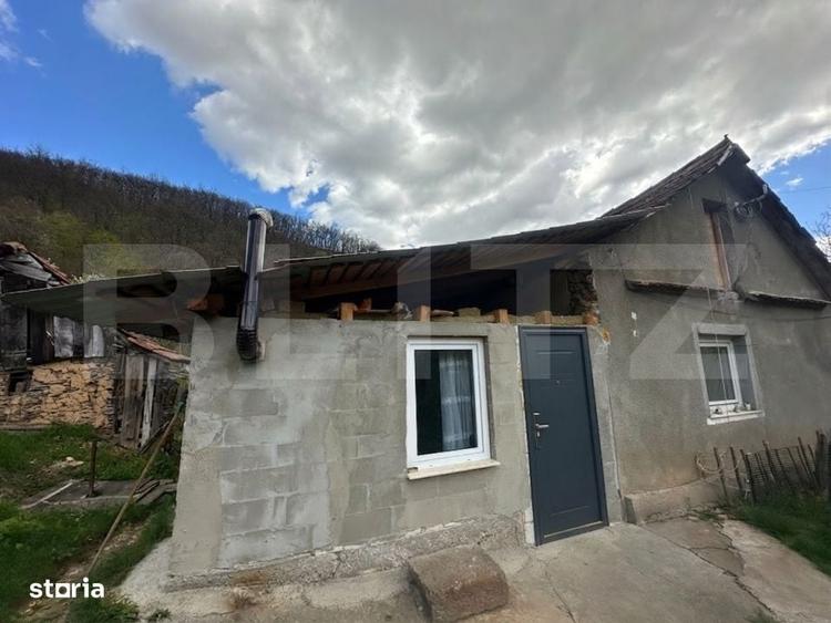 Casă cu 4 camere cu Teren 12186 Mp în Boiu