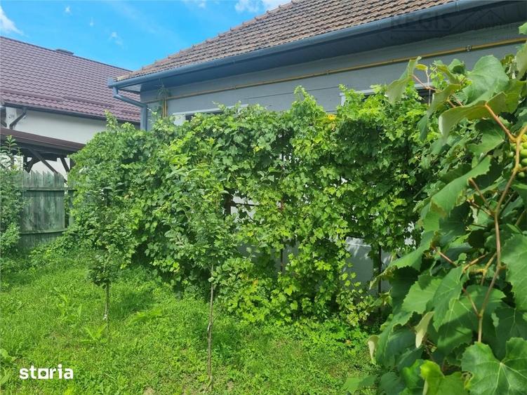 Casă cu 3 camere cu Teren 200 Mp în Florilor