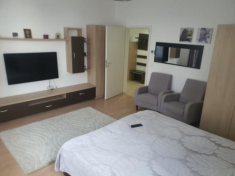 Apartament o cameră cu bucătărie separată - Doamna Stanca - 4