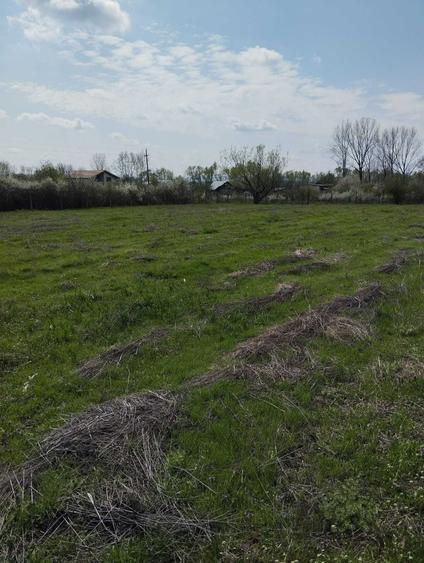 Teren de vanzare: situat pe Calea Craiovei catre Bistrita cu o suprafata de 5000 mp - 1