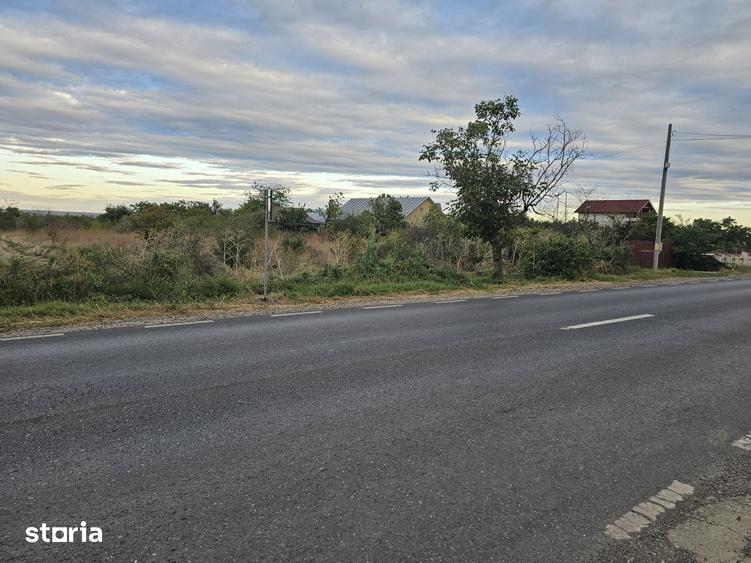 Teren de 3100 mp, în Vânători