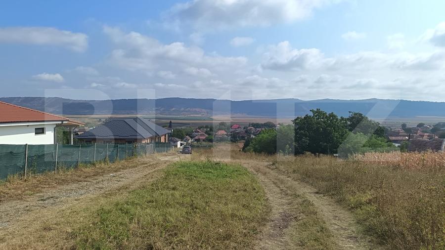 Teren Construcții intravilan de 2358 mp, în Luna